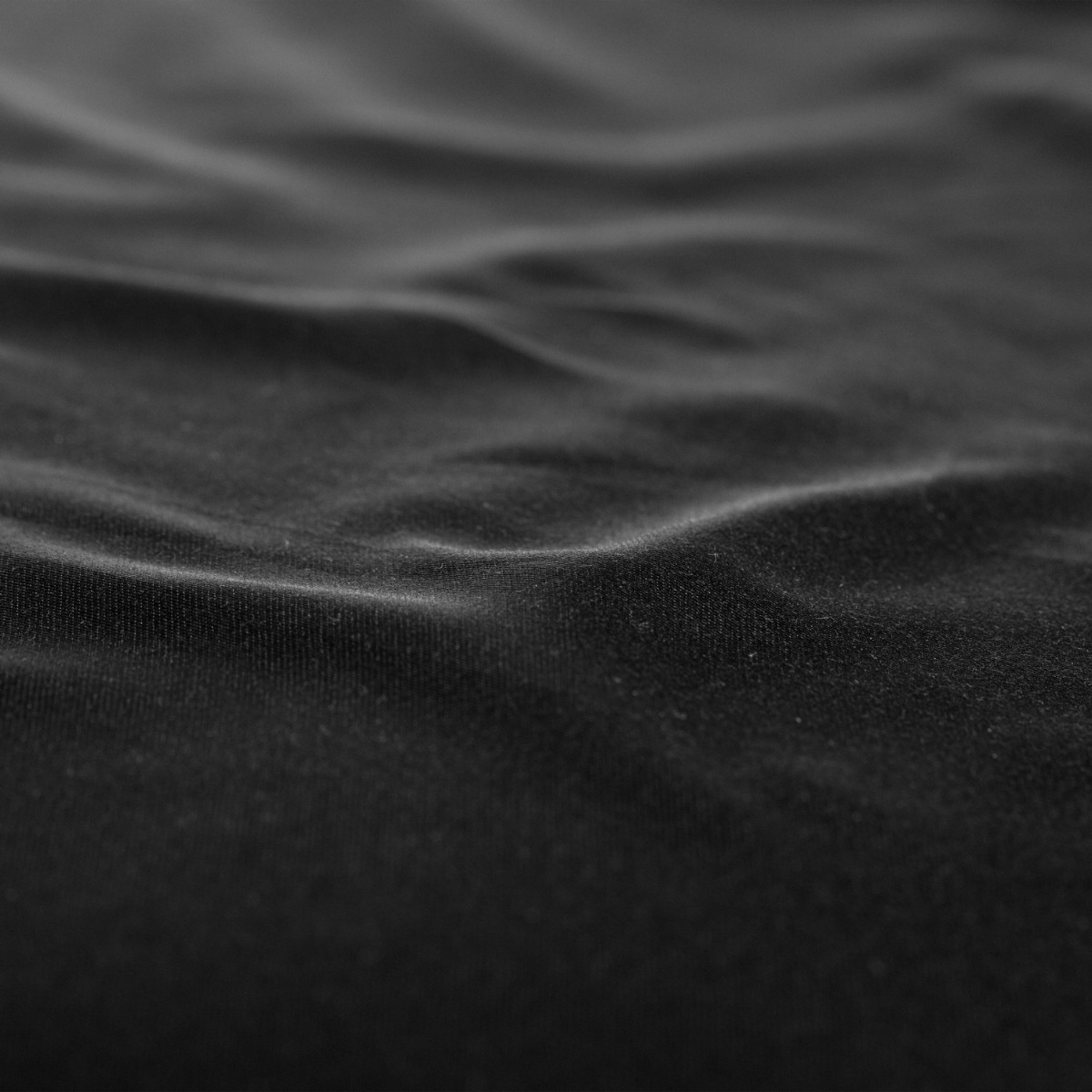 Flipper Image