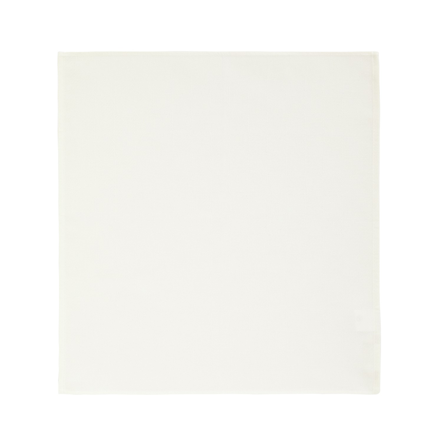 Flipper Image