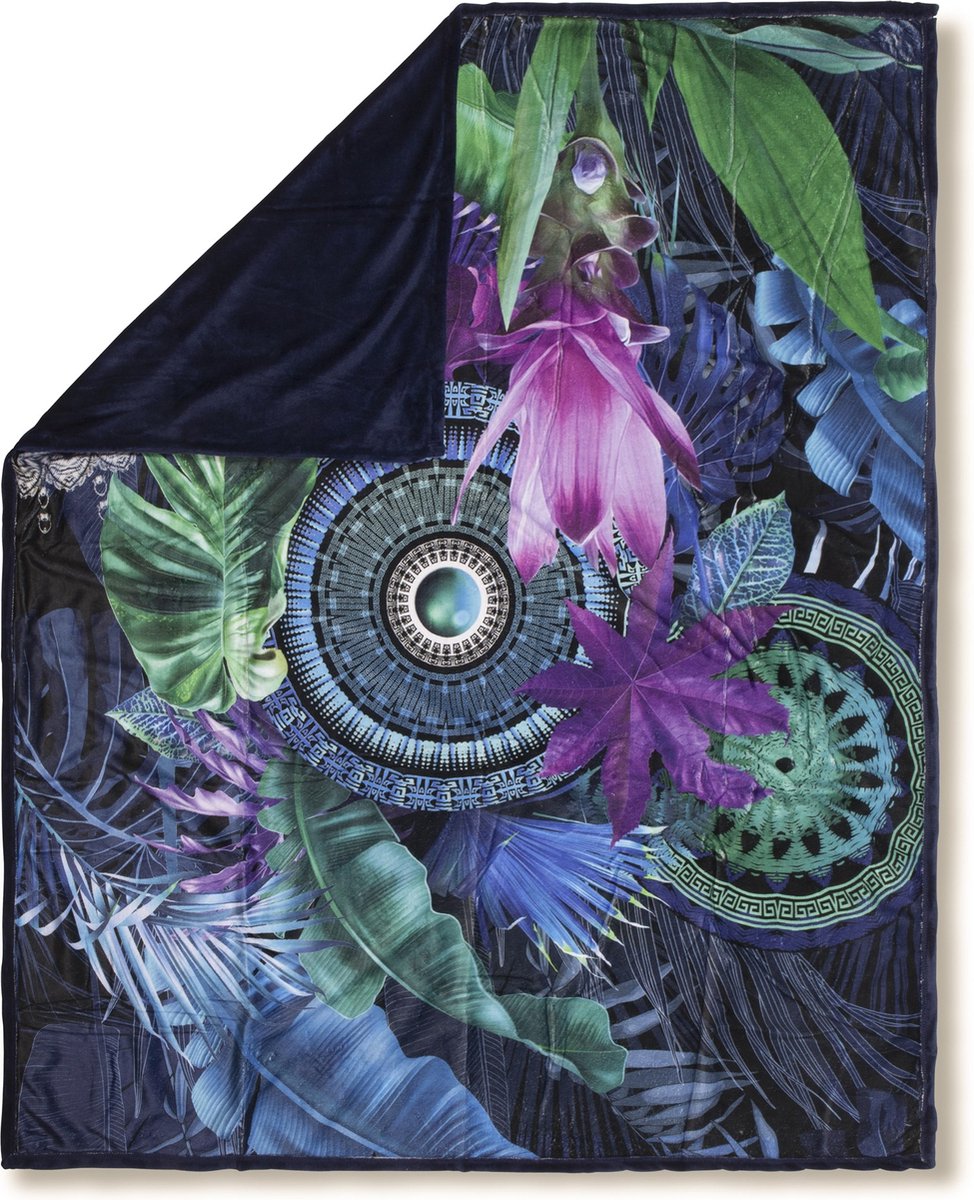 Flipper Image