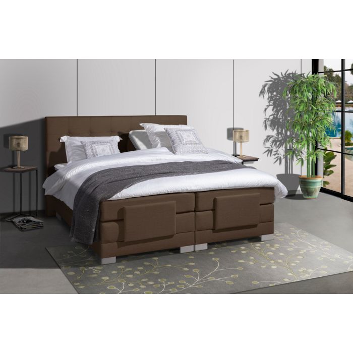lion-beddenshop-51879-1.jpg