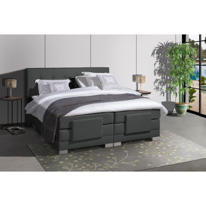 lion-beddenshop-51982-4.jpg