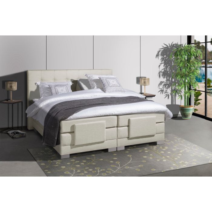 lion-beddenshop-51994-4.jpg