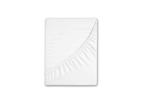 Flipper Image