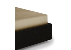 Flipper Image