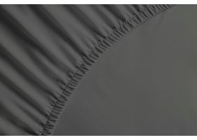 Flipper Image