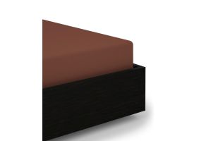 Flipper Image