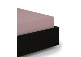 Flipper Image