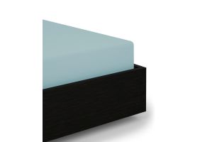 Flipper Image