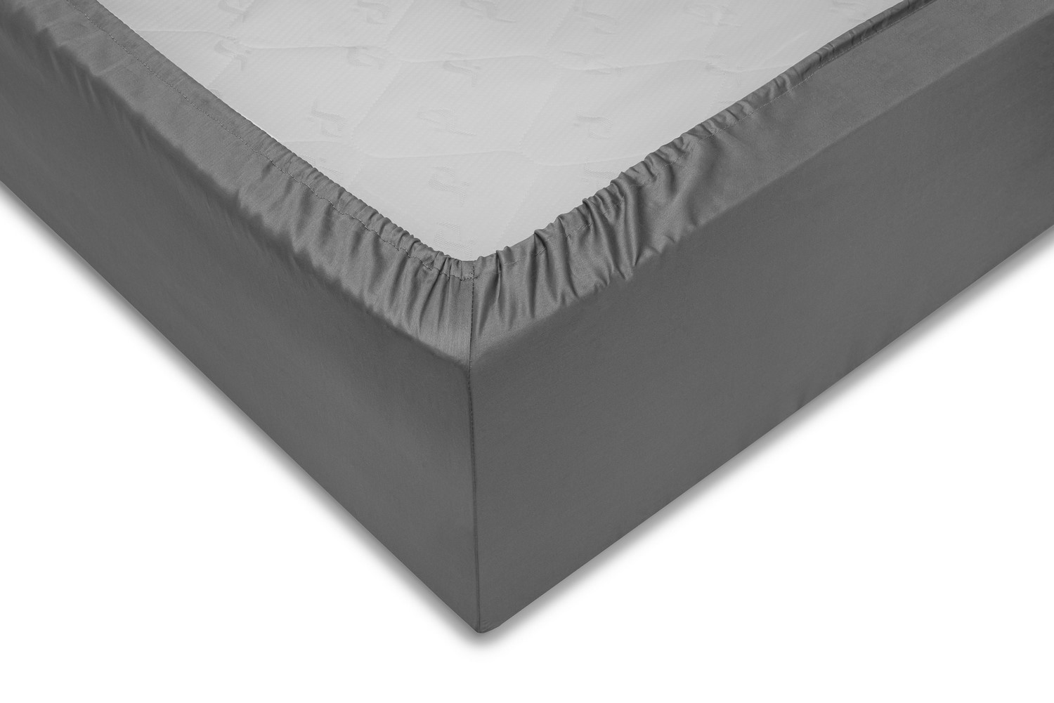 Flipper Image